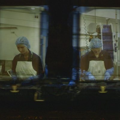 documentary film In touch