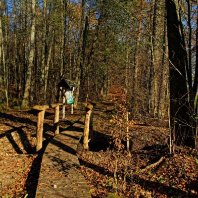 pranie-educational-nature-trail-“in-the-footsteps-of-galczynski”