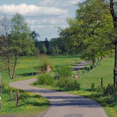 zywkowo-stork-village