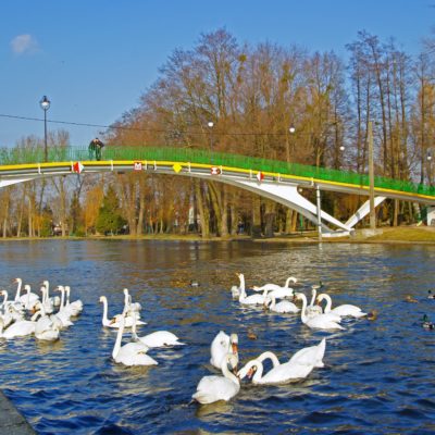 pisz-rzeka-pisa-i-park