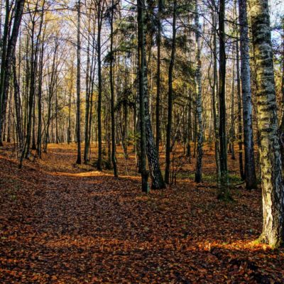 pranie-przyrodnicza-sciezka-dydaktyczna-sladami-galczynskiego