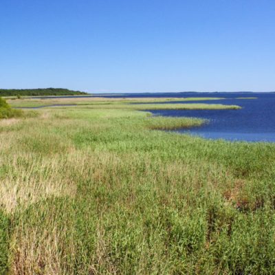 sniardwy-najwieksze-jezioro-w-polsce